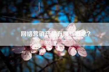 网络营销产品有哪些概念？