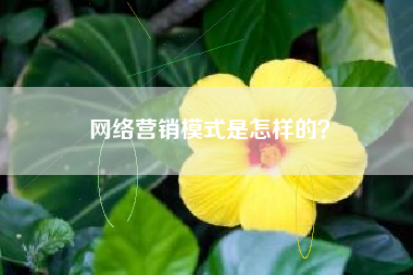 网络营销模式是怎样的？
