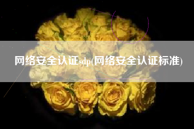 网络安全认证sdp(网络安全认证标准)
