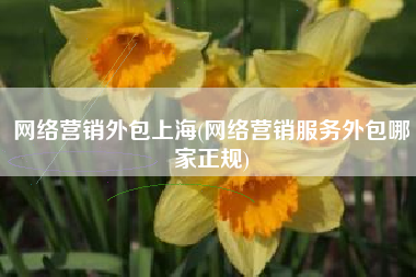 网络营销外包上海(网络营销服务外包哪家正规)