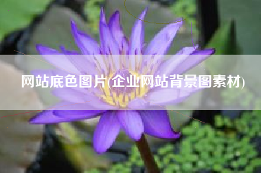 网站底色图片(企业网站背景图素材)