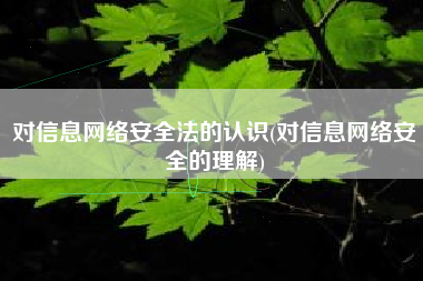 对信息网络安全法的认识(对信息网络安全的理解)