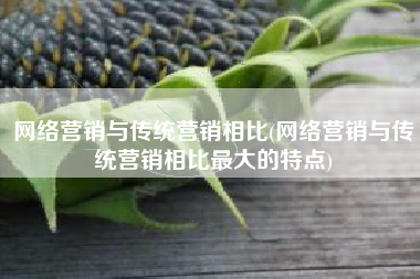 网络营销与传统营销相比(网络营销与传统营销相比最大的特点)