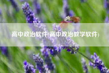 高中政治软件(高中政治教学软件)