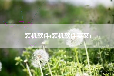 装机软件(装机软件英文)