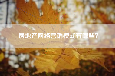 房地产网络营销模式有哪些？