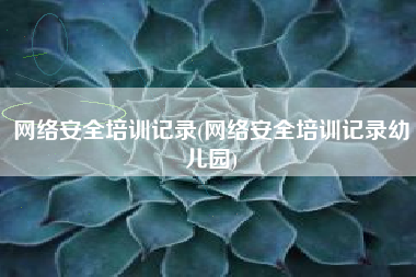 网络安全培训记录(网络安全培训记录幼儿园)