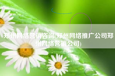 郑州网络营销咨询(郑州网络推广公司郑州网络营销公司)