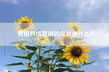 我国网络营销的现状是什么？