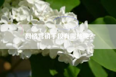 网络营销手段有哪些呢？