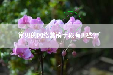 常见的网络营销手段有哪些？
