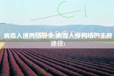 病毒入侵网络安全(病毒入侵网络的主要途径)