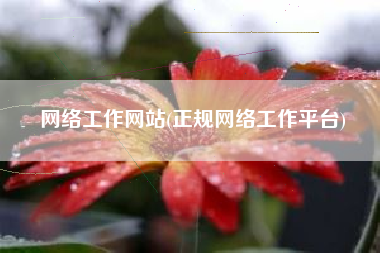 网络工作网站(正规网络工作平台)