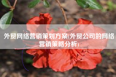 外贸网络营销策划方案(外贸公司的网络营销策略分析)