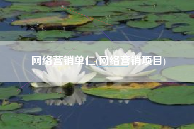 网络营销单仁(网络营销项目)