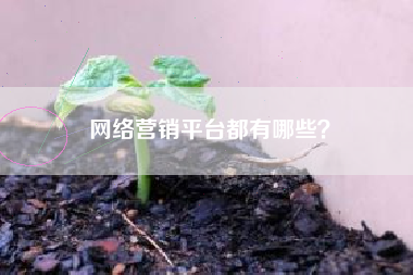 网络营销平台都有哪些？