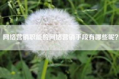 网络营销职能的网络营销手段有哪些呢？