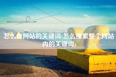 怎么查网站的关键词(怎么搜索整个网站内的关键词)