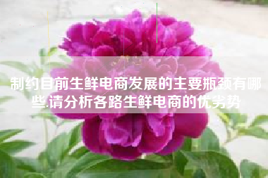 制约目前生鲜电商发展的主要瓶颈有哪些.请分析各路生鲜电商的优劣势