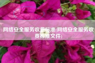 网络安全服务收费标准(网络安全服务收费标准文件)