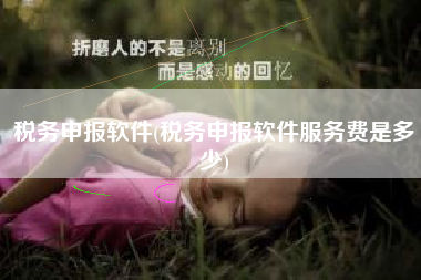 税务申报软件(税务申报软件服务费是多少)