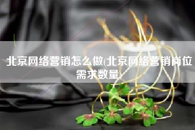 北京网络营销怎么做(北京网络营销岗位需求数量)