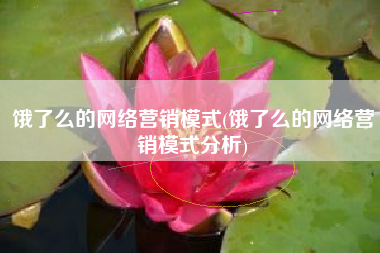饿了么的网络营销模式(饿了么的网络营销模式分析)