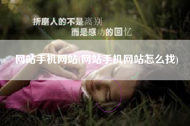 网站手机网站(网站手机网站怎么找)