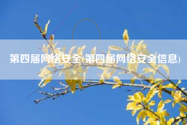 第四届网络安全(第四届网络安全信息)