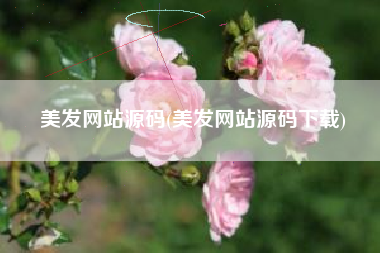美发网站源码(美发网站源码下载)