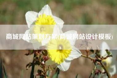 商城网站策划方案(商城网站设计模板)