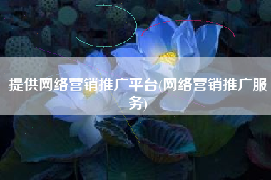 提供网络营销推广平台(网络营销推广服务)