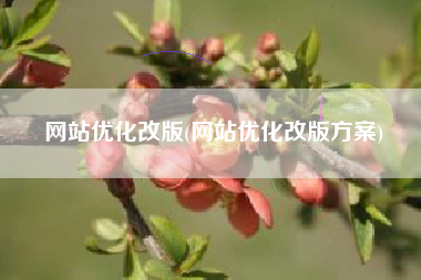 网站优化改版(网站优化改版方案)