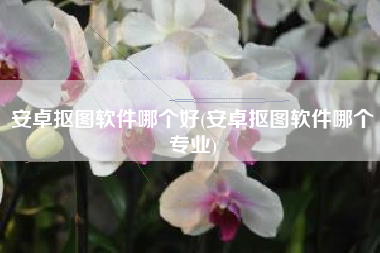 安卓抠图软件哪个好(安卓抠图软件哪个专业)