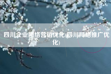 四川企业网络营销优化(四川网络推广优化)