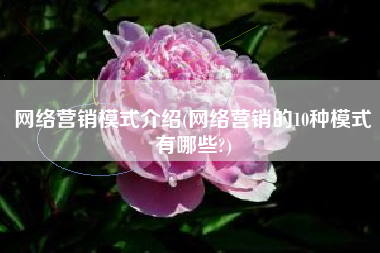 网络营销模式介绍(网络营销的10种模式有哪些?)