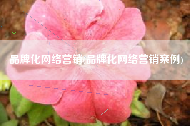 品牌化网络营销(品牌化网络营销案例)