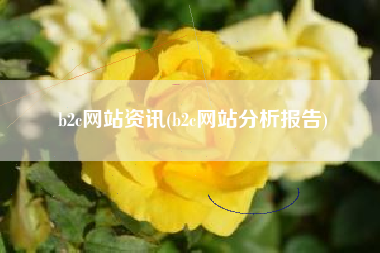 b2c网站资讯(b2c网站分析报告)