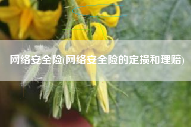 网络安全险(网络安全险的定损和理赔)