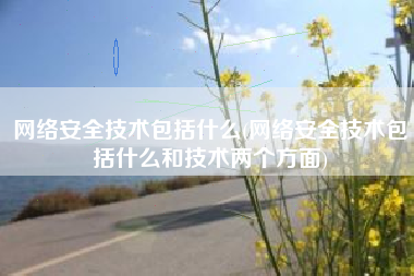 网络安全技术包括什么(网络安全技术包括什么和技术两个方面)