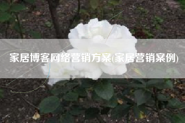 家居博客网络营销方案(家居营销案例)