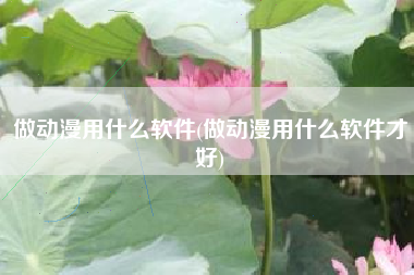 做动漫用什么软件(做动漫用什么软件才好)