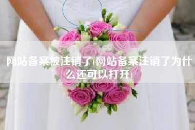 网站备案被注销了(网站备案注销了为什么还可以打开)