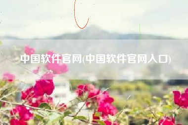 中国软件官网(中国软件官网入口)