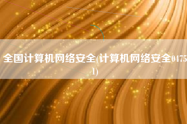 全国计算机网络安全(计算机网络安全04751)