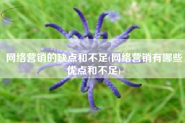 网络营销的缺点和不足(网络营销有哪些优点和不足)