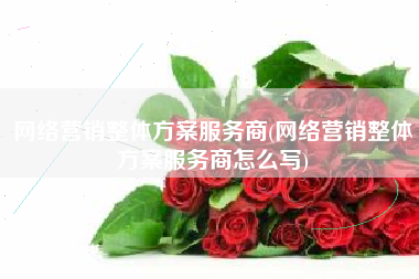 网络营销整体方案服务商(网络营销整体方案服务商怎么写)