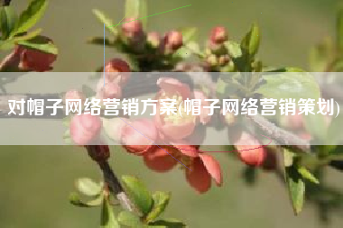 对帽子网络营销方案(帽子网络营销策划)