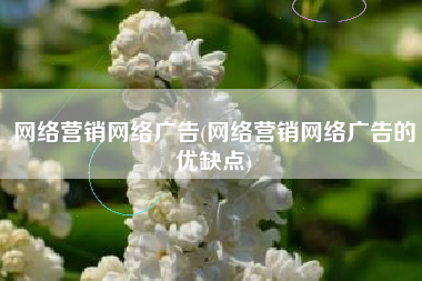 网络营销网络广告(网络营销网络广告的优缺点)