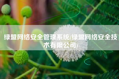 绿盟网络安全管理系统(绿盟网络安全技术有限公司)